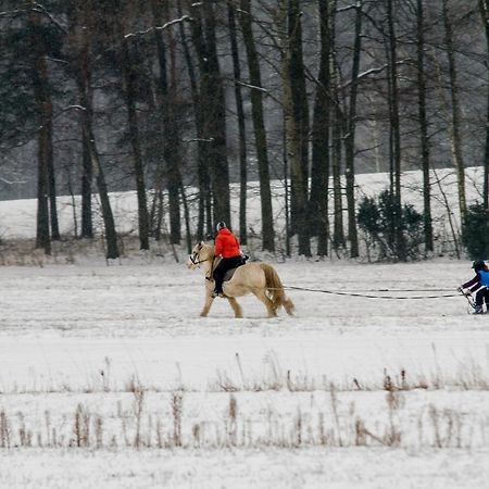 Kolorowe Wzgorze Agroturystyka I Konie Trojanow Buitenkant foto