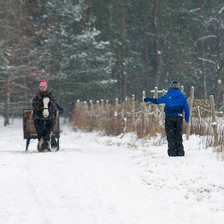 Kolorowe Wzgorze Agroturystyka I Konie Trojanow Buitenkant foto