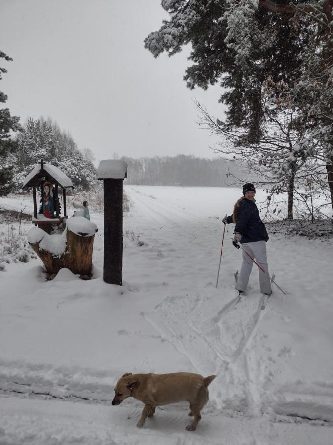 Kolorowe Wzgorze Agroturystyka I Konie Trojanow Buitenkant foto