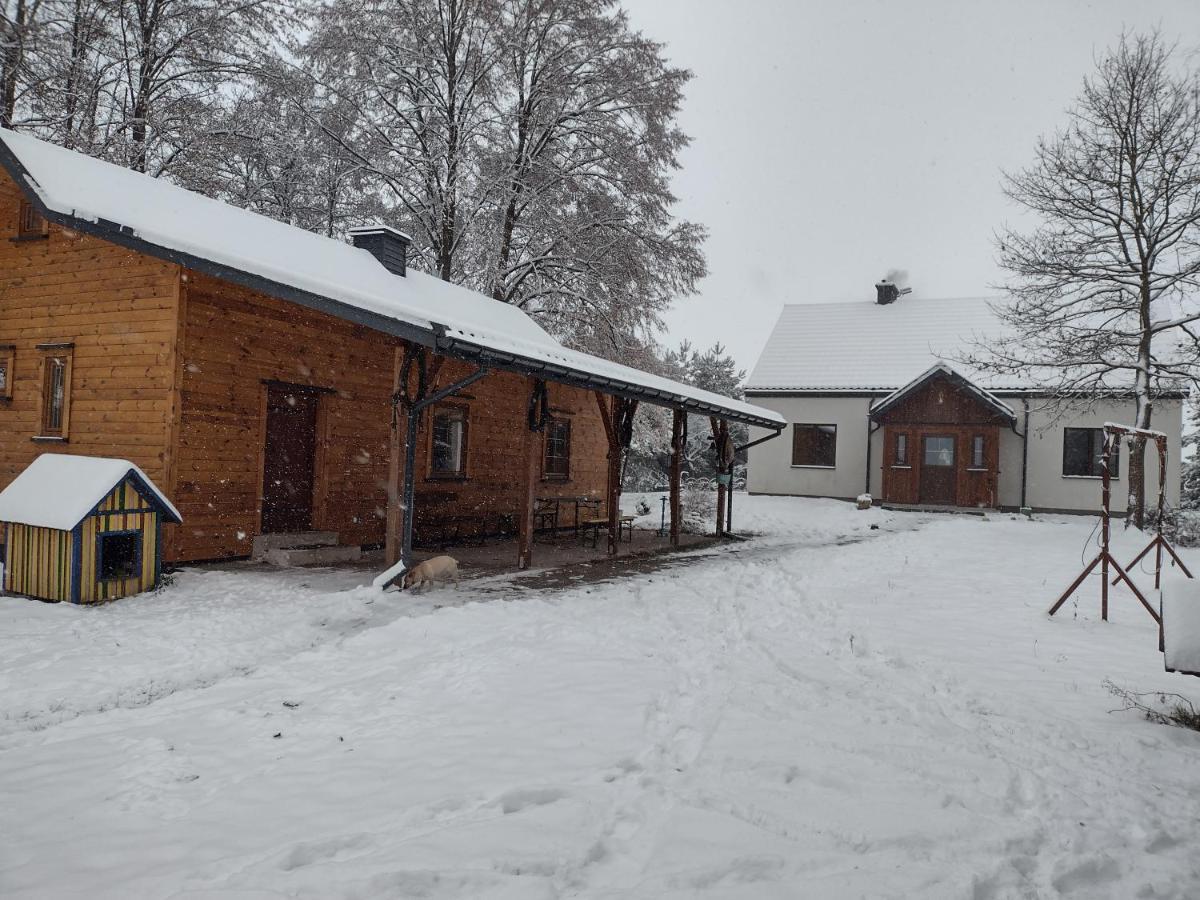 Kolorowe Wzgorze Agroturystyka I Konie Trojanow Buitenkant foto