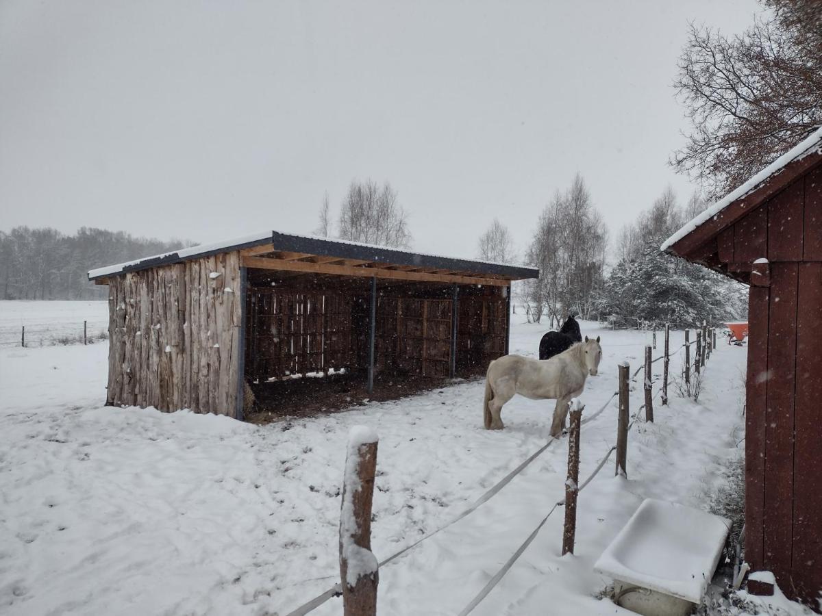Kolorowe Wzgorze Agroturystyka I Konie Trojanow Buitenkant foto