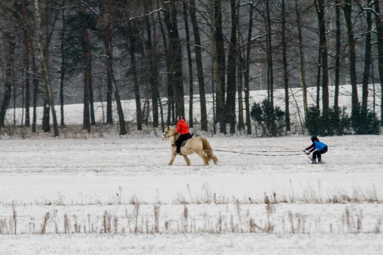 Kolorowe Wzgorze Agroturystyka I Konie Trojanow Buitenkant foto