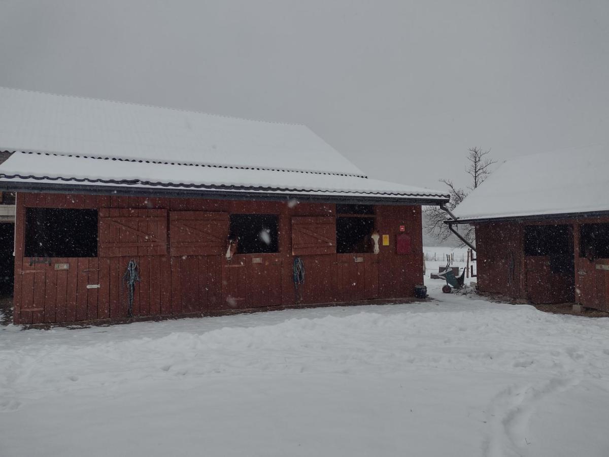Kolorowe Wzgorze Agroturystyka I Konie Trojanow Buitenkant foto