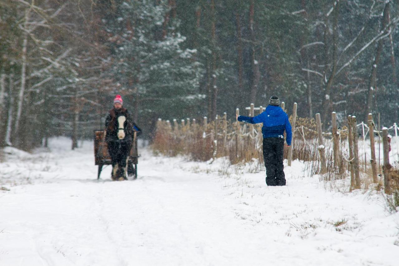 Kolorowe Wzgorze Agroturystyka I Konie Trojanow Buitenkant foto