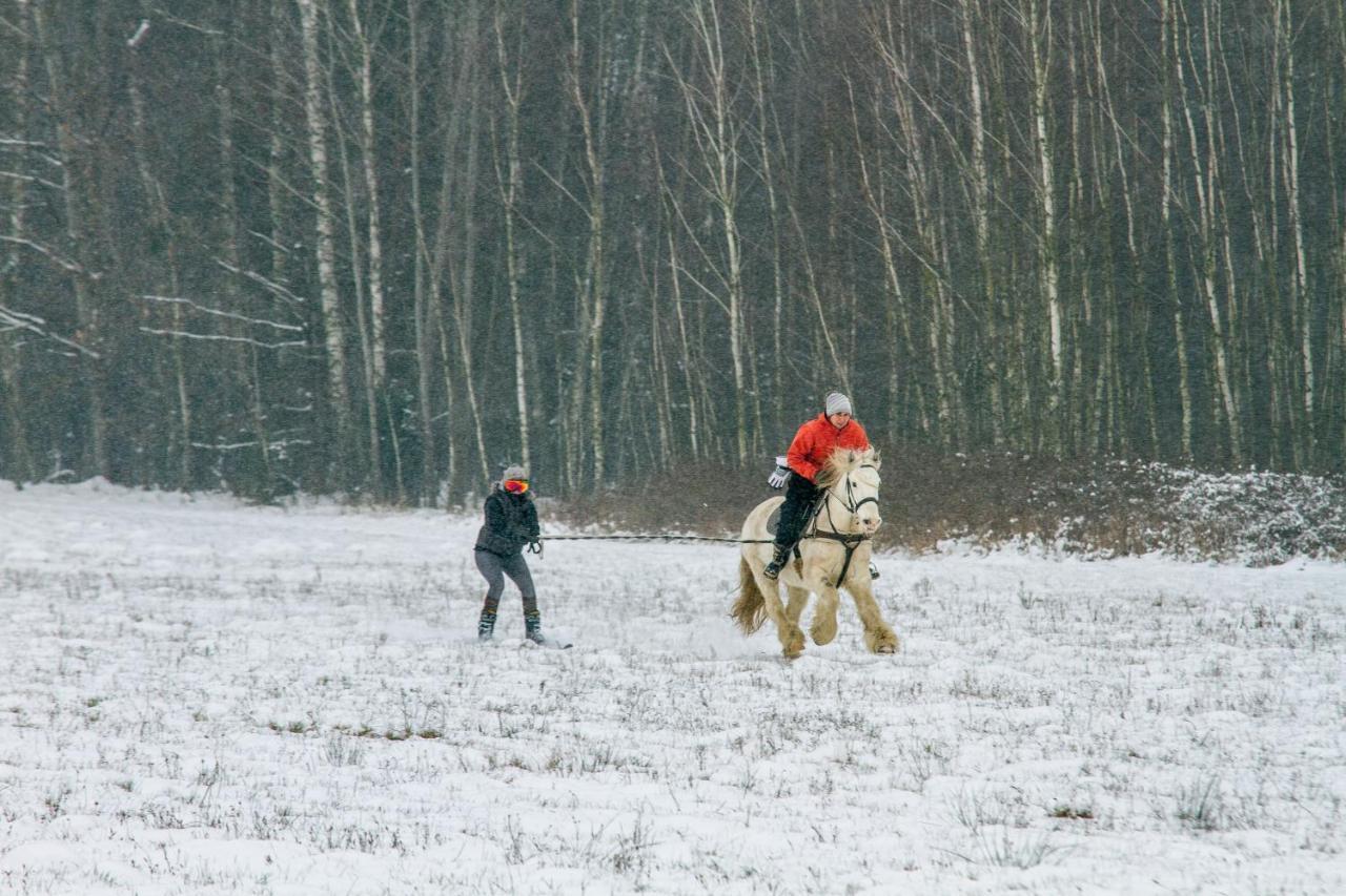 Kolorowe Wzgorze Agroturystyka I Konie Trojanow Buitenkant foto