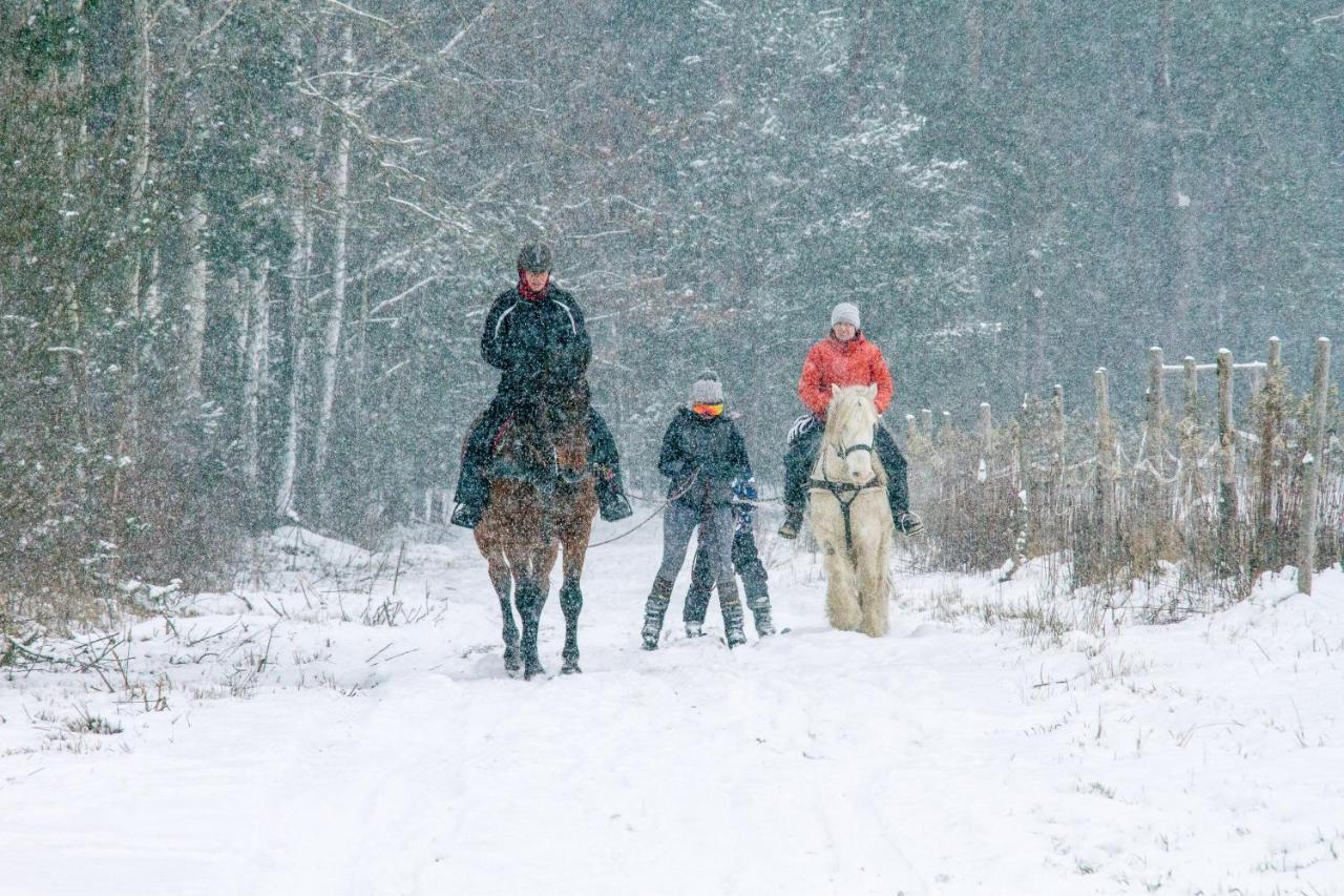 Kolorowe Wzgorze Agroturystyka I Konie Trojanow Buitenkant foto