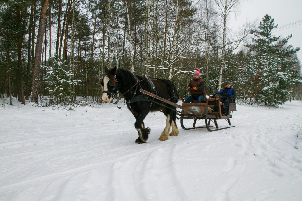Kolorowe Wzgorze Agroturystyka I Konie Trojanow Buitenkant foto