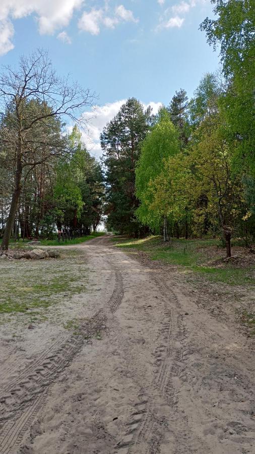 Kolorowe Wzgorze Agroturystyka I Konie Trojanow Buitenkant foto